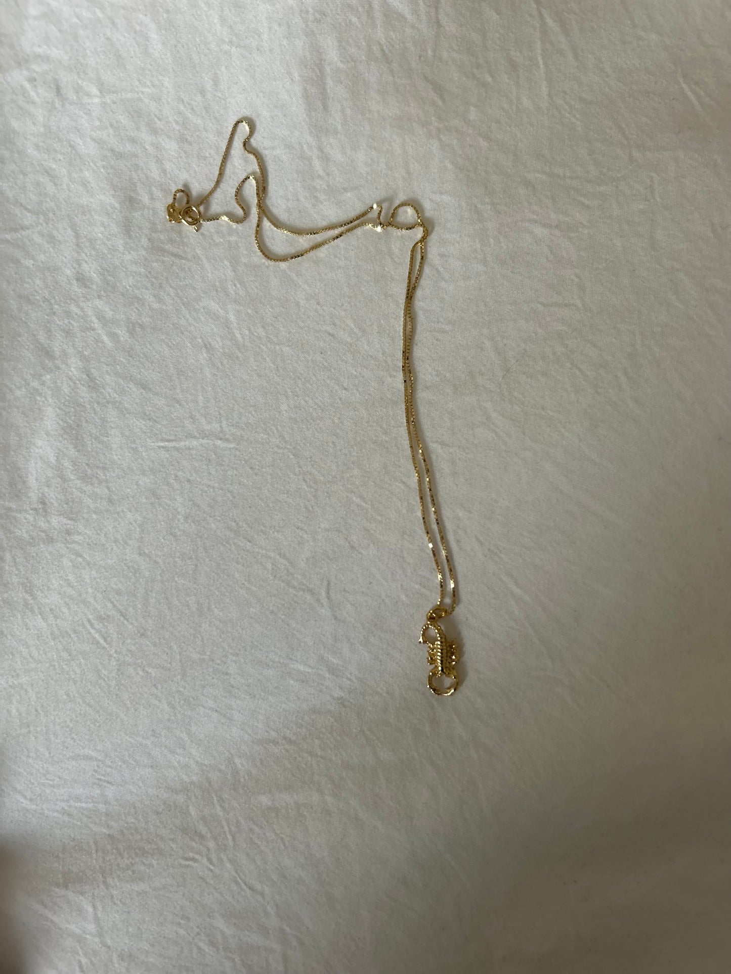 Scorpio necklace