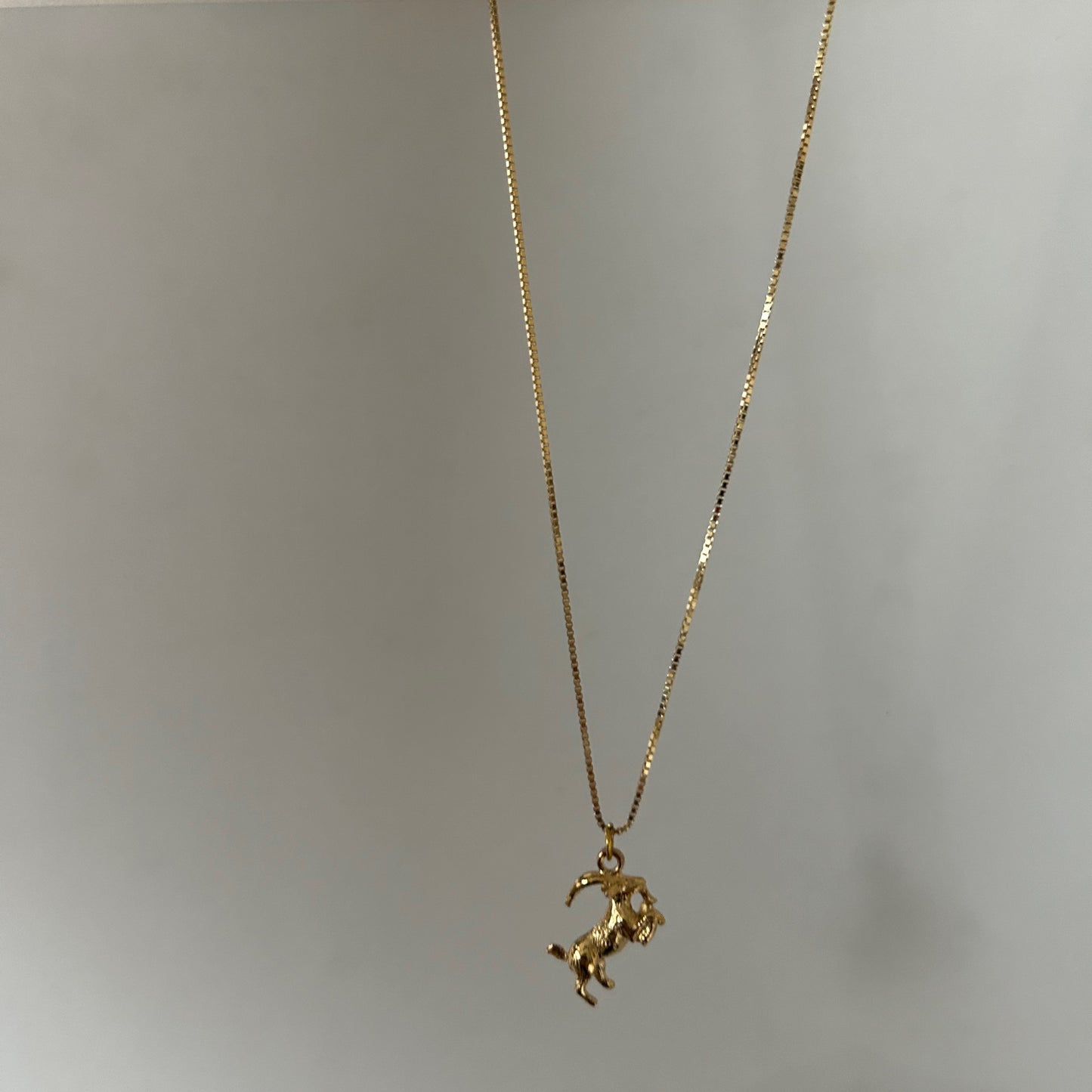 Capricorn necklace